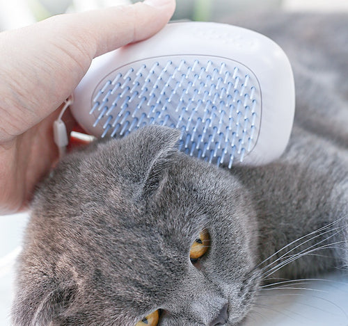 Brosse de Massage Spray 3 en 1 pour chien & chat Toilettage et Démêlage